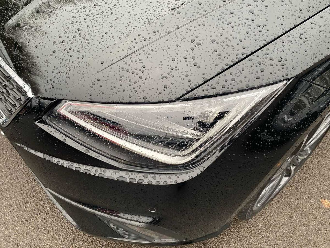 SEAT Ibiza 1.0 TSI 115 Xcellence Lux 5Dr DSG